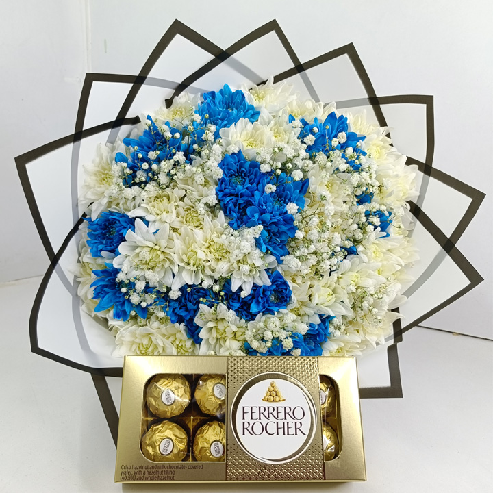blue-purple-chrysanthemums-candy-img