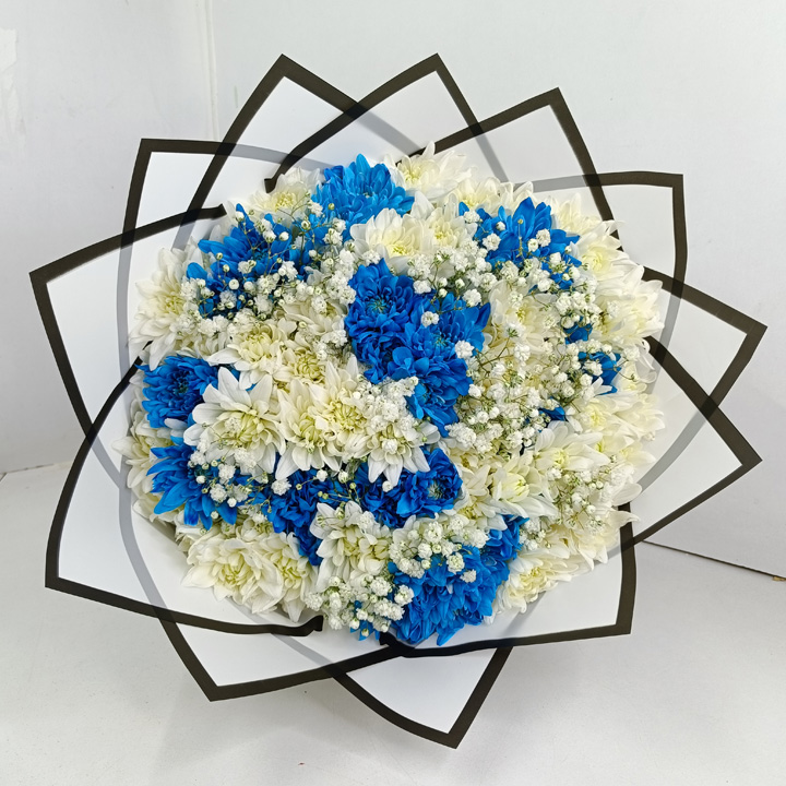 blue-purple-chrysanthemums-img